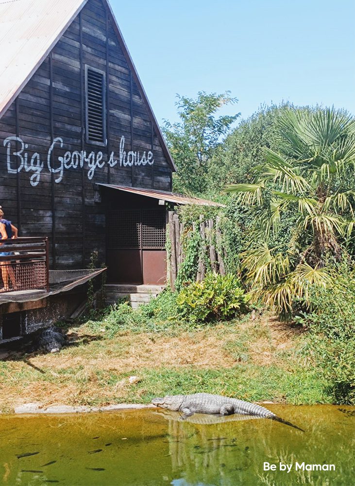 Le Pal - Big george's house