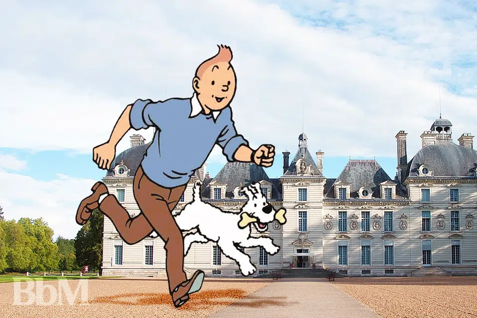 Tintin au château de Cheverny