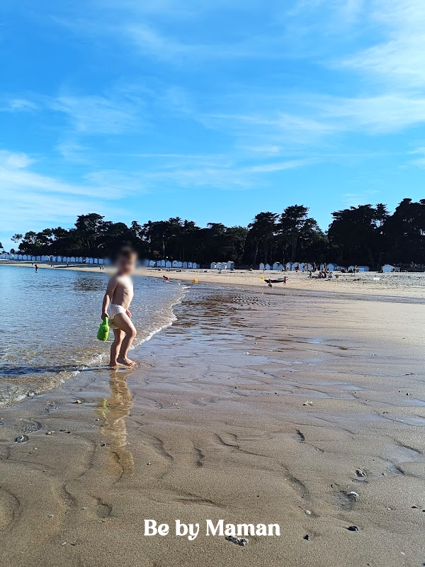 noirmoutier plagre vacances bord de mer ciel bleu pont paysage bebe nature ocean ile maison noirmoutier plagre vacances bord de mer ciel bleu pont paysage bebe nature ocean ile maison