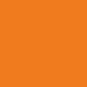 couleurs deco abricot