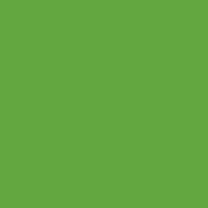 couleurs deco vert cactus