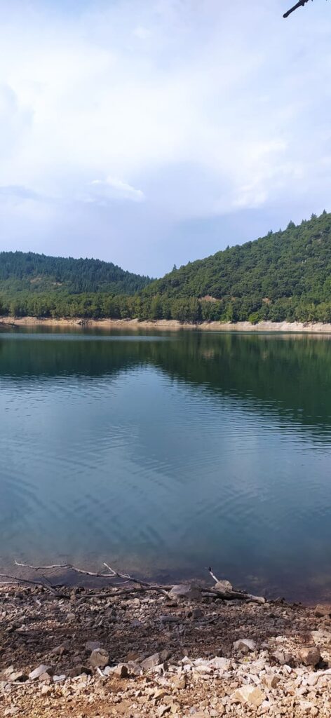 lac davene baignade vacances foret paysage panorama sud naturel arbre sapin bebymaman