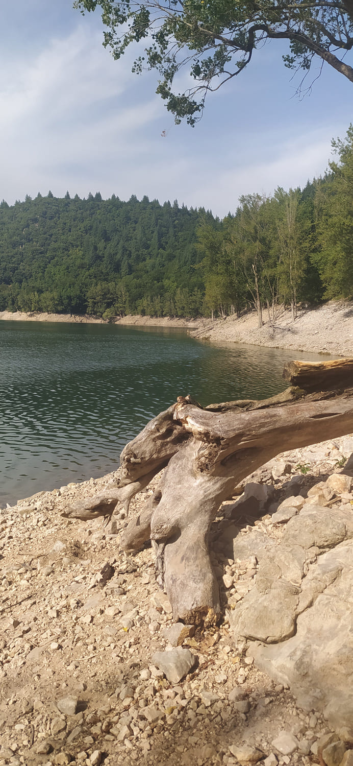 lac davene baignade vacances foret paysage plage eau sud naturel arbre racine sapin bebymaman lac davene baignade vacances foret paysage plage eau sud naturel arbre racine sapin bebymaman