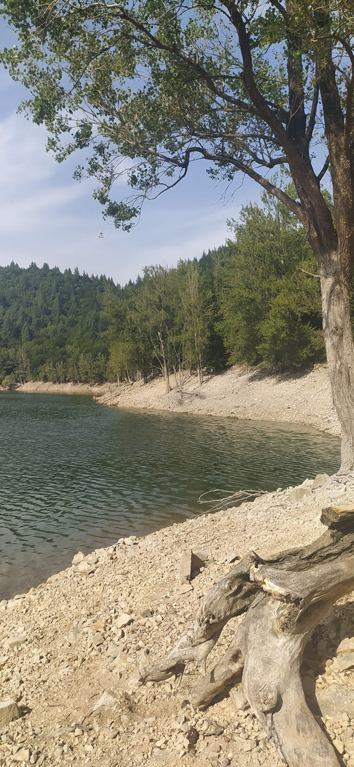 lac davene baignade vacances foret paysage plage eau sud naturel arbre sapin bebymaman lac davene baignade vacances foret paysage plage eau sud naturel arbre sapin bebymaman