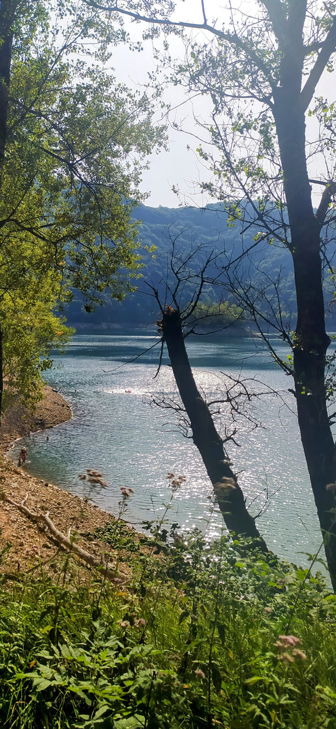 lac davene baignade vacances foret paysage plage eau sud naturel etang arbre racine sapin bebymaman lac davene baignade vacances foret paysage plage eau sud naturel etang arbre racine sapin bebymaman