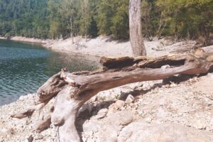 Vacances au Lac d&rsquo;Avène : Nature et détente pour toute la famille