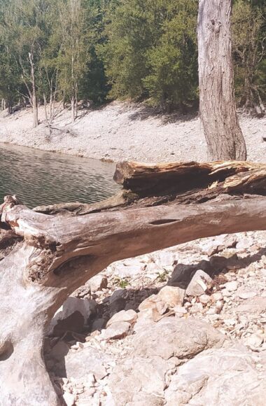 lac davene baignade vacances paysage sud naturel arbre sapin bebymaman (1) (1) (1)
