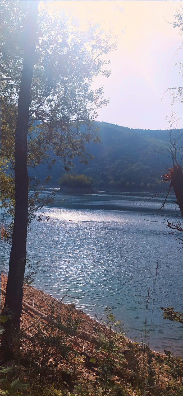 lac davene baignade vacances soleil paysage sud naturel arbre sapin bebymaman lac davene baignade vacances soleil paysage sud naturel arbre sapin bebymaman