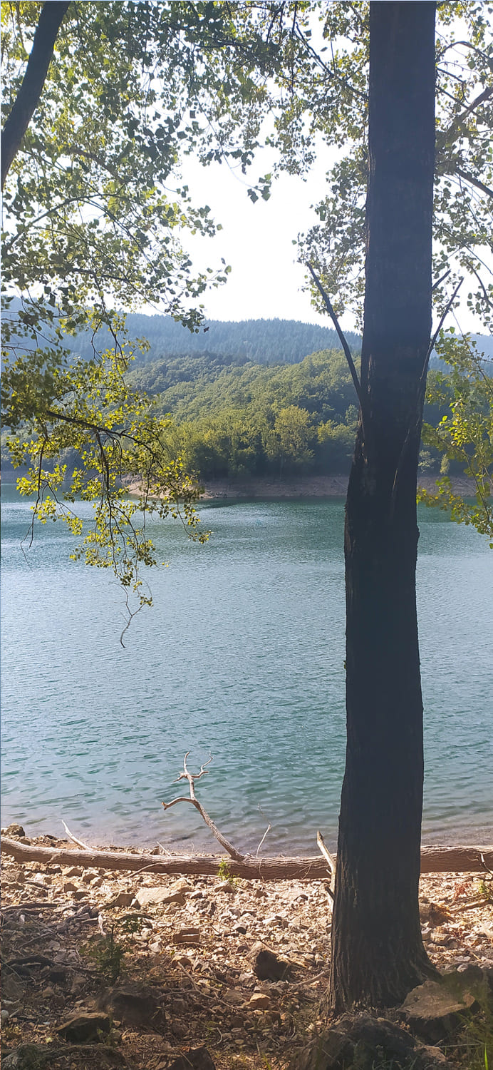 lac davene baignade vacances soleil plage paysage sud naturel arbre sapin bebymaman lac davene baignade vacances soleil plage paysage sud naturel arbre sapin bebymaman