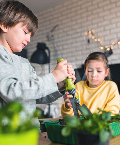 activite famille printemps enfant creation diy fun jardinage potager interieur preparation nature plante 1 Herbier de printemps avec fleurs séchées et dessins, activité créative à faire avec les enfants