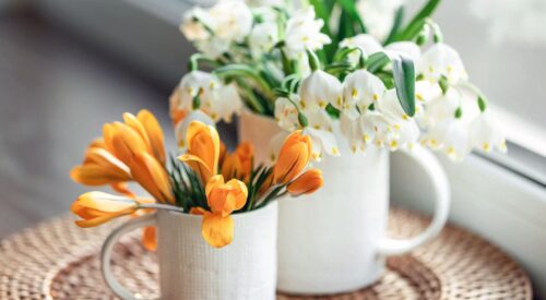 Fleurs de printemps en vases blancs près d’une fenêtre, crocus orange et perce-neige baignés de lumière naturelle dans une ambiance douce et lumineuse.