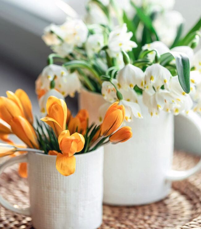 Fleurs de printemps en vases blancs près d’une fenêtre, crocus orange et perce-neige baignés de lumière naturelle dans une ambiance douce et lumineuse.