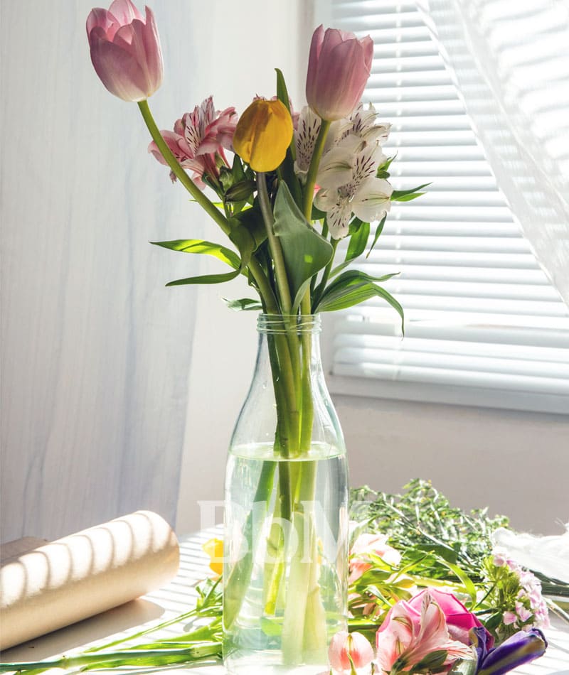 tulipe fleurs bouquet mi saison maison printemps goodvibes bebymaman Bouquet de fleurs de saison dans un vase en verre, tulipes roses et jaunes baignées de lumière naturelle près d’une fenêtre au printemps.